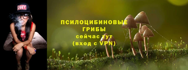 spice Алексеевка