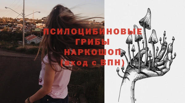 молекула духа Алексин