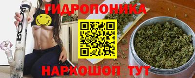 прущие грибы Тулун