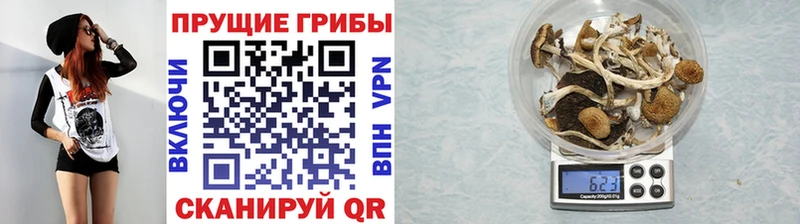 Галлюциногенные грибы мицелий  купить наркотик  Нарткала 