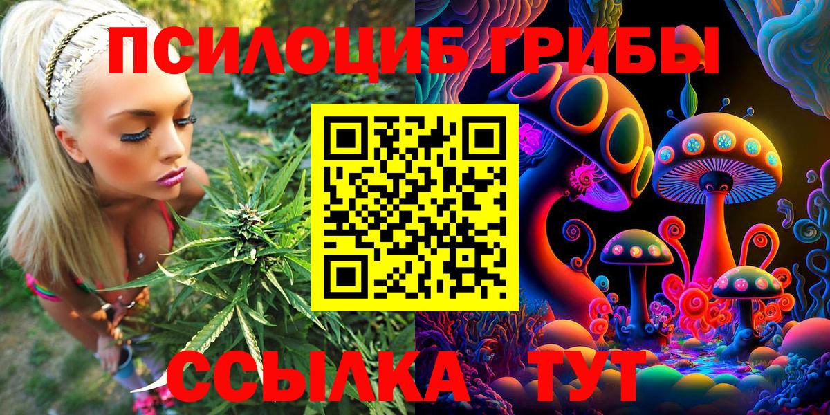 Галлюциногенные грибы Cubensis  Вход с VPN  Псилоцибиновые грибы MAGIC MUSHROOMS  Нарткала 